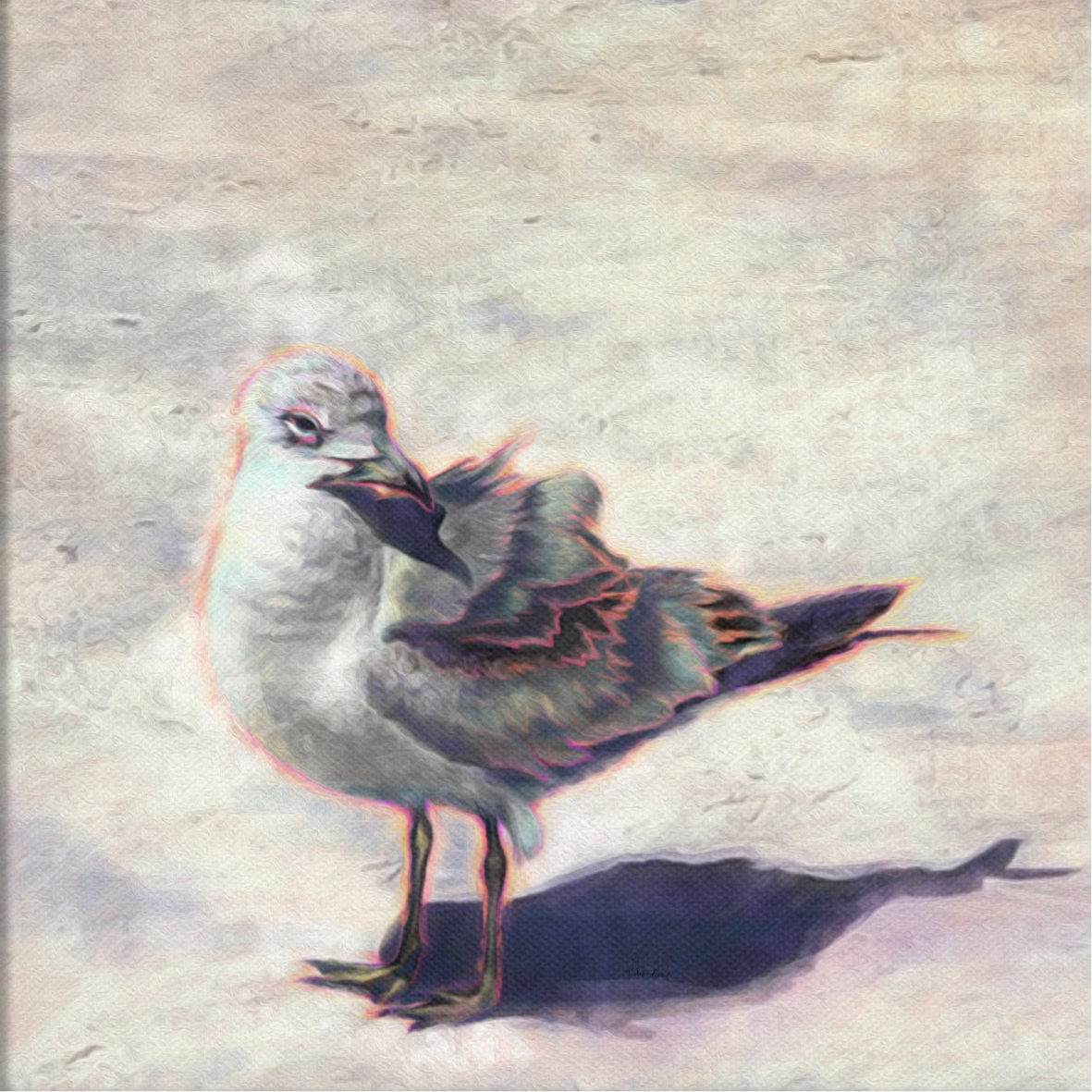 Seagull 1